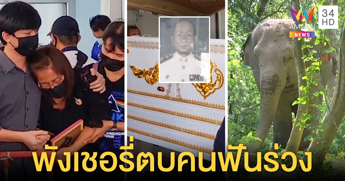 เมียลมจับรับศพผัวถูกพังเชอรี่ฆ่า คาใจช้างดุเอามาโชว์ - สื่อระทึกหวิดโดนพุ่งใส่ (คลิป)