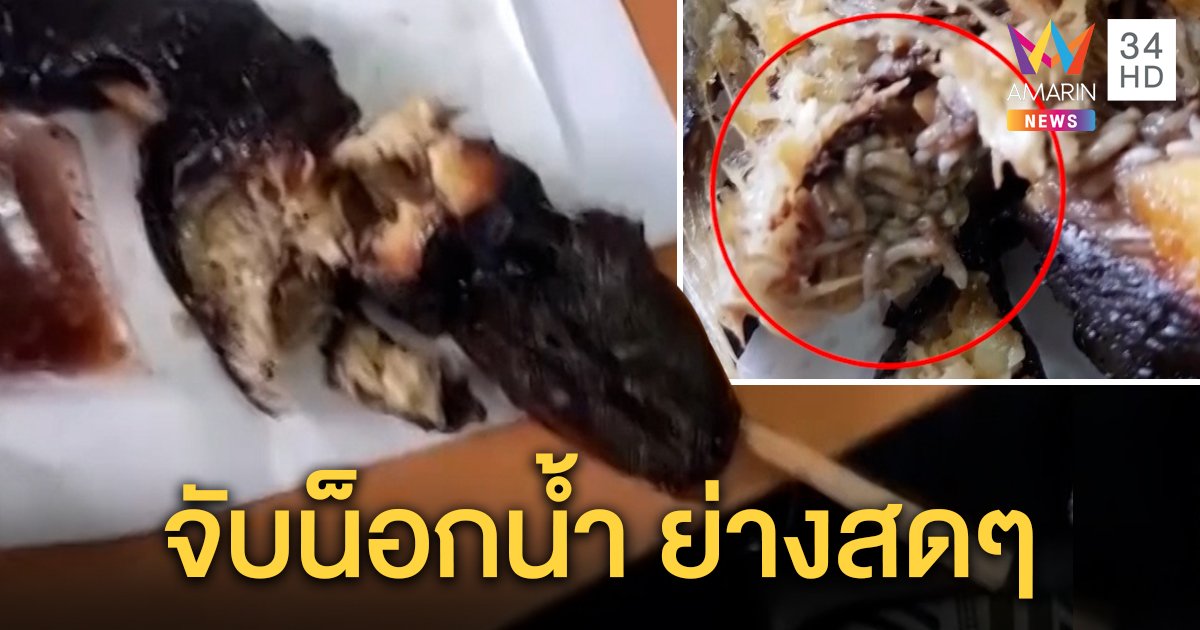 เจ้าของร้านช็อกดราม่าปลาดุกย่างหนอนยั้วเยี้ย หวั่นถูกดิสเครดิต ลั่นจับน็อกน้ำย่างสด (คลิป)