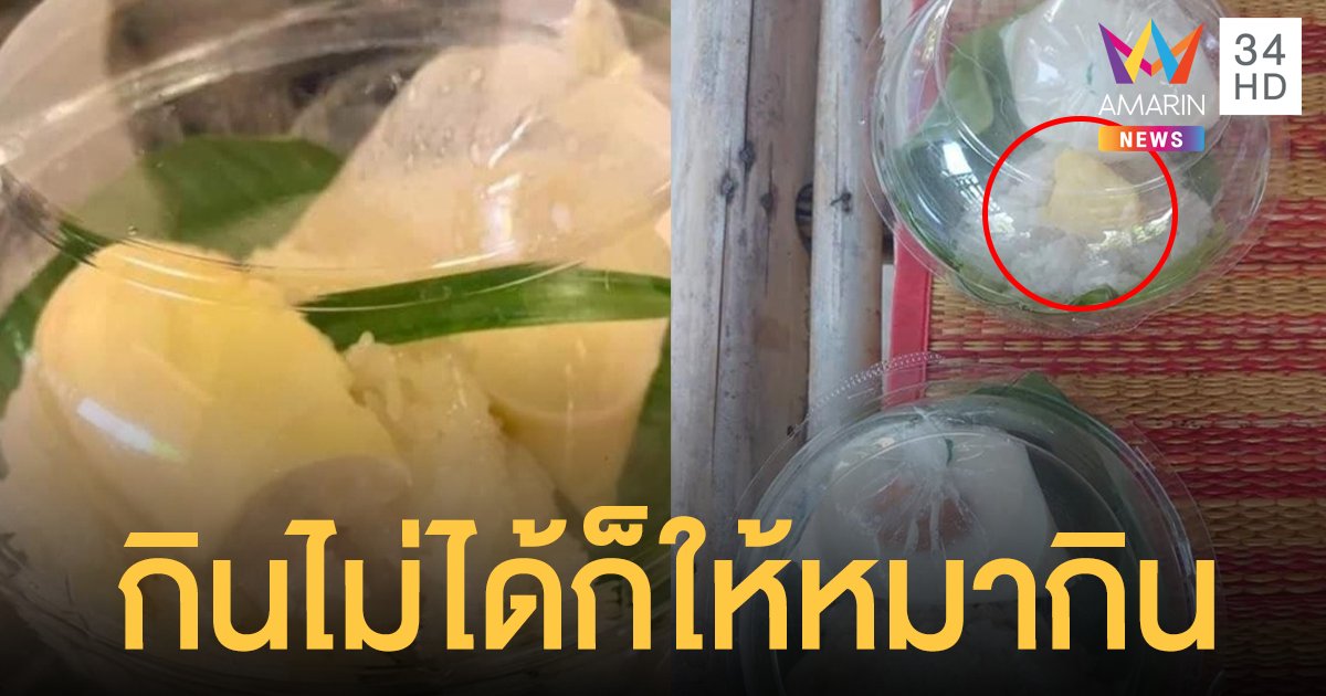 บาปเด้อ! สาวสั่ง ข้าวเหนียวทุเรียน ได้ไม่ตรงปก แจ้งร้านโดนสวนกินไม่ได้ก็ให้หมากิน