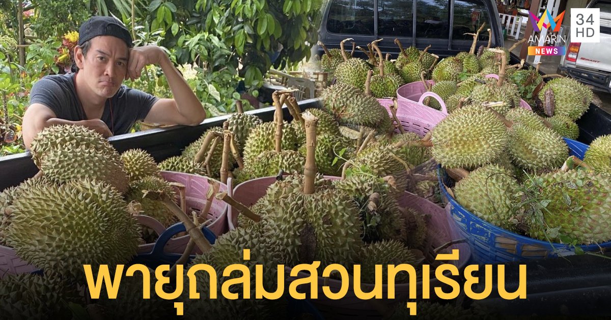 ชาวสวนร้องไห้  ชาคริต - แอน   สุดเซ็งสวนทุเรียนเจอพายุซัดถล่ม ร่วงเป็นคันรถ