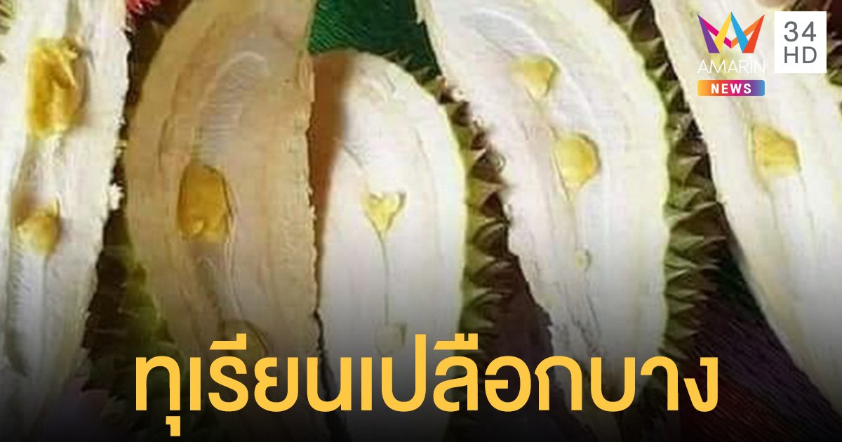 อึ้ง! ทุเรียนเปลือกบาง เม็ดเล็ก กินไม่ได้ แบบนี้ก็มีด้วย