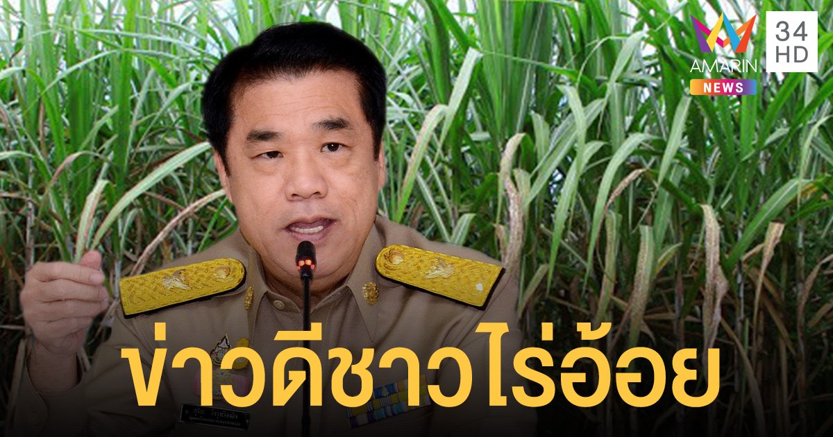 ข่าวดี! รัฐเพิ่มเงิน ค่าตัดอ้อย สดให้อีก 120 บาท/ตัน เริ่มจ่าย มิ.ย.นี้