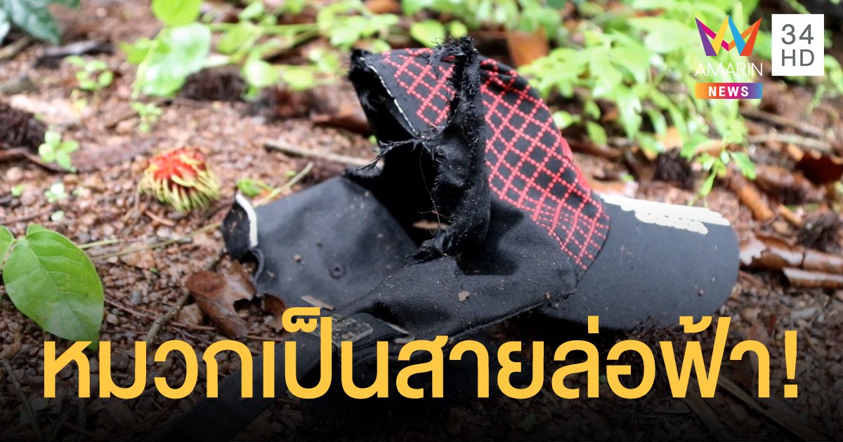 หนุ่มกัมพูชาสวมหมวกแก๊ปมีโลหะ เก็บเงาะขณะฝนตก ถูกฟ้าผ่าตายคาสวน