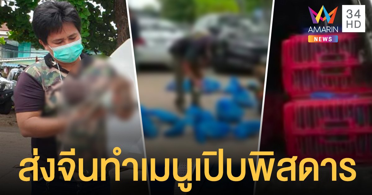 กองปราบ สกัดจับ ขบวนการลักลอบค้า ลิงแสม 103 ตัว เตรียมส่งออกจีน ทำเมนูเปิบพิสดาร