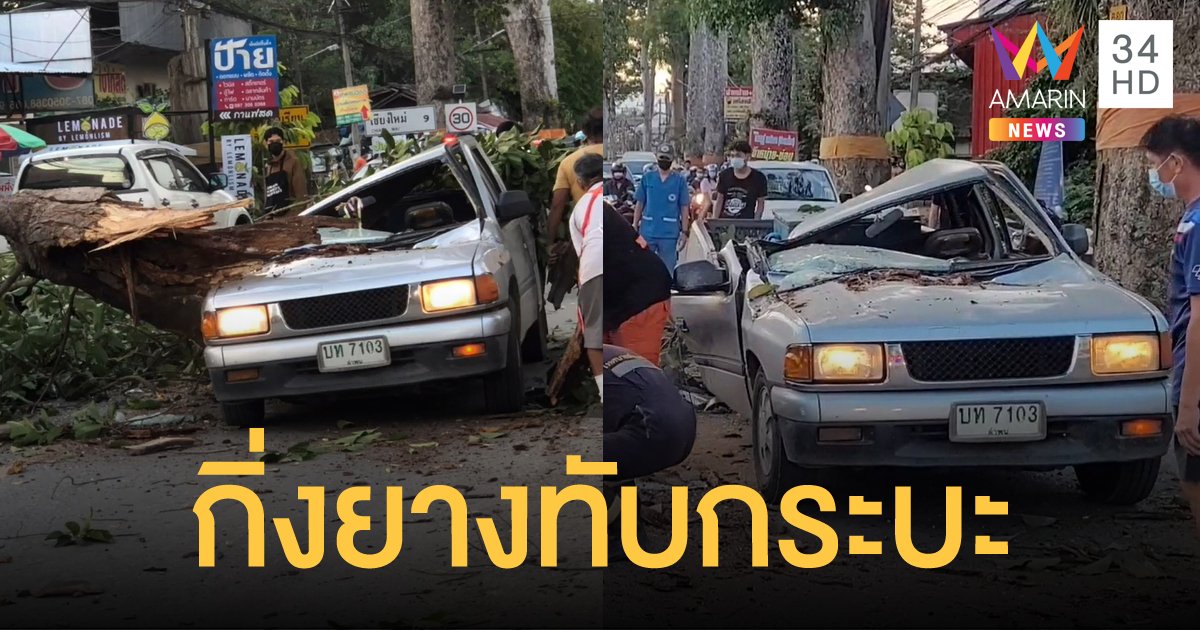 กิ่งต้นยางนาอายุกว่า 100 ปี หล่นใส่รถกระบะพังยับ สาวท้องแก่รอดหวุดหวิด