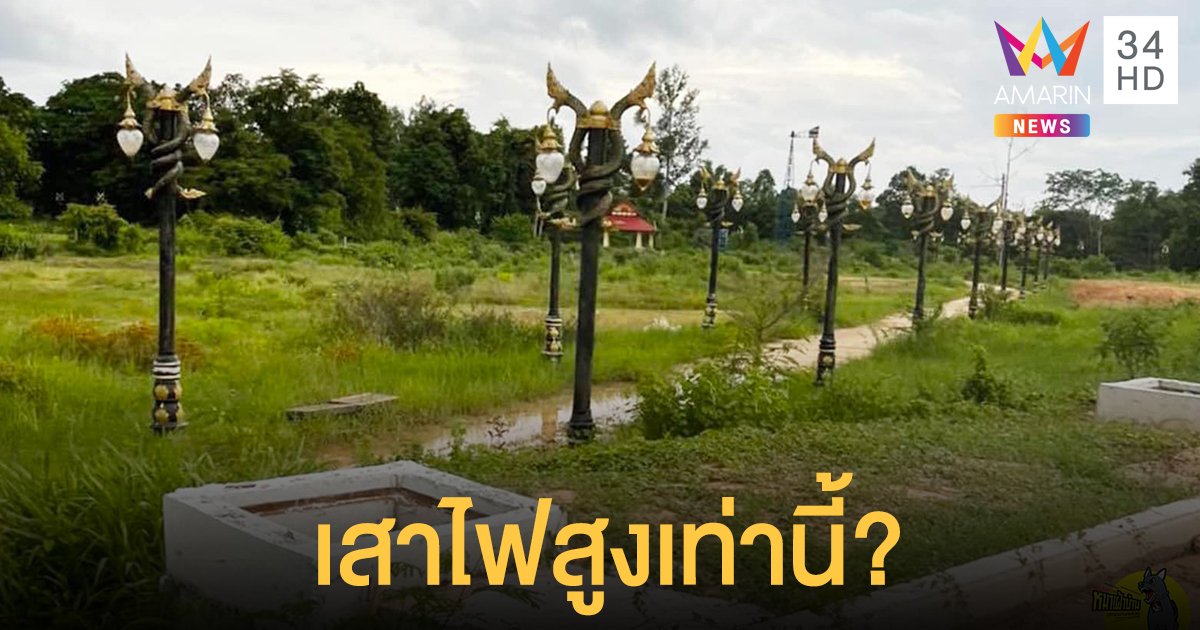 เพจดังเผยภาพ เสาไฟพญานาค จ.มุกดาหาร ชาวเน็ตขำปอดโยก ทำไมสูงแค่นี้?!