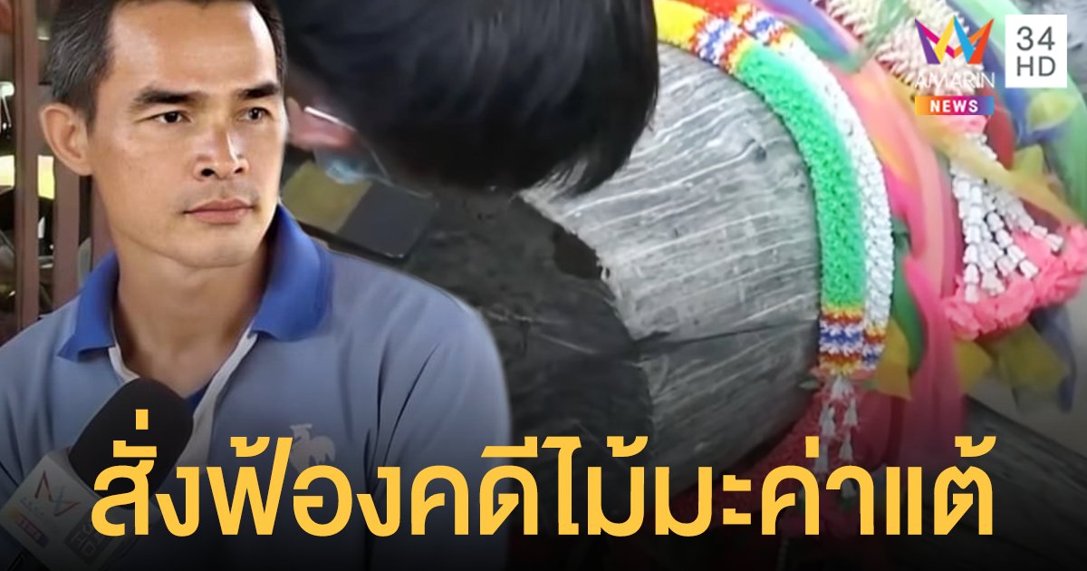 ลุงพล อ่วม! คดีไม้มะค่าแต้ คำสั่งฟ้อง ยาว 6 หน้า ส่องานเข้าซ้ำ คดีน้องชมพู่