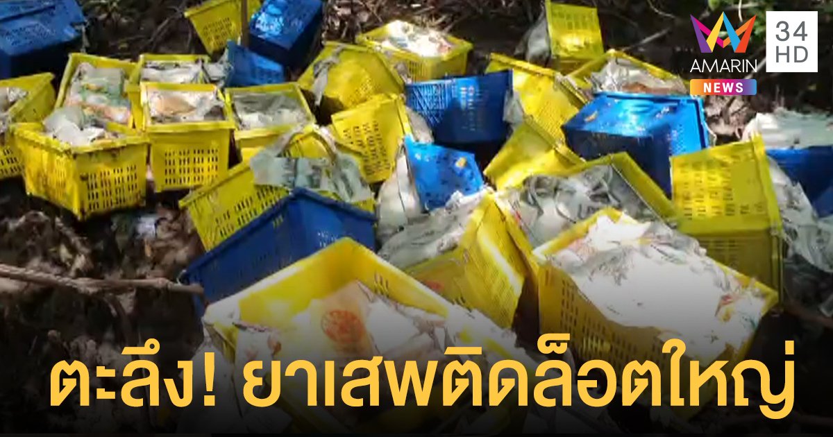 อึ้ง! ยาไอซ์-เฮโรอีน นับพันกิโลกรัม ซุกในป่าโกงกาง ชายแดน จ.สตูล