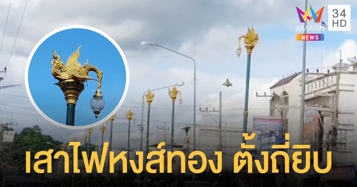 เสาไฟหงส์ทอง โผล่พรึบ 44 ต้น ตำบลชนแดน เพชรบูรณ์ ตั้งถี่ยิบ