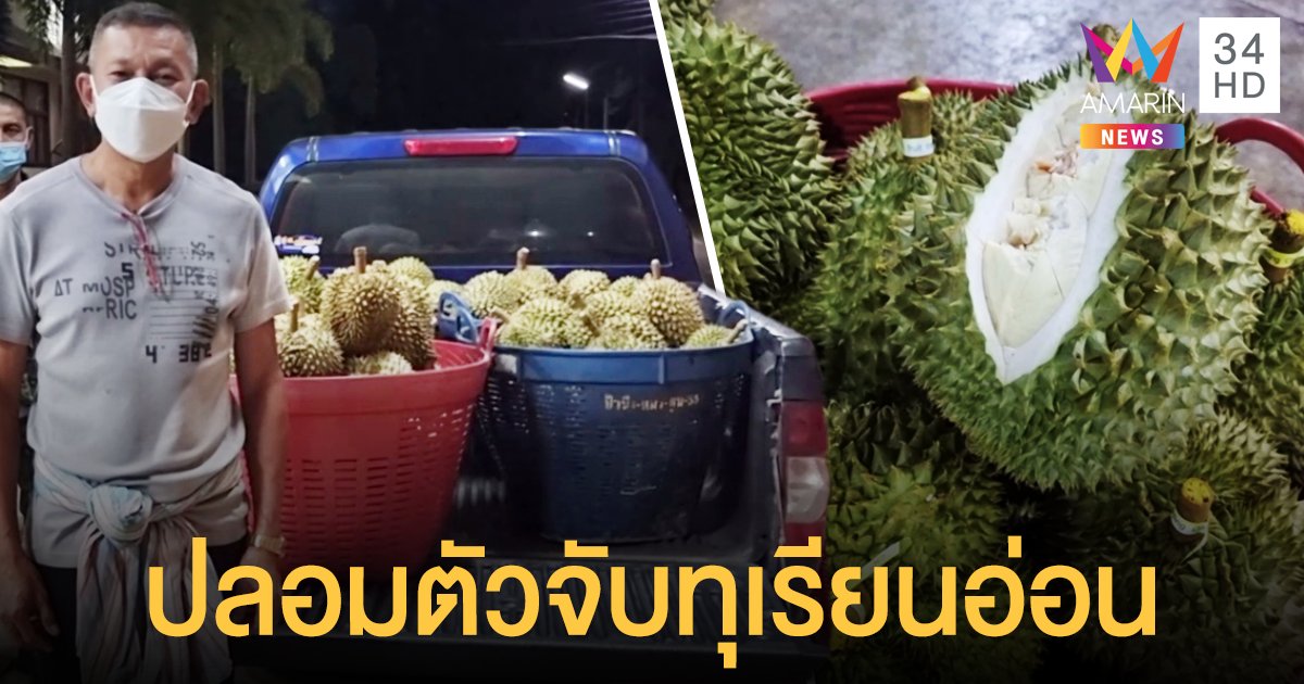 แม่ค้าขายทุเรียนอ่อน ถูกรองผู้ว่าฯ ชุมพร ปลอมตัวไปซื้อ หลักฐานคามือ