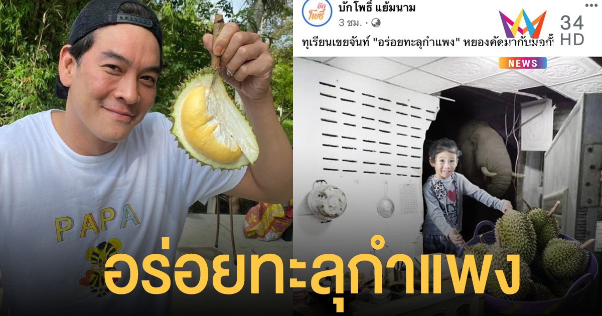 ชาคริต ไม่ตกเทรนด์ ผุดไอเดียเจ๋งตัดต่อภาพน้องโพธิ์ลงเพจ  “ทุเรียนเขยจันท์ อร่อยทะลุกำแพง”
