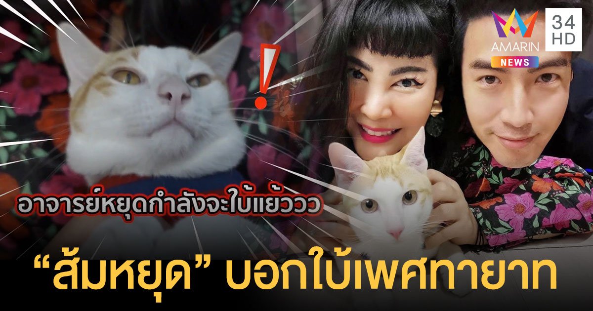 ลุ้นแค่ไหนกว่าจะรู้ดูปาก! “ส้มหยุด” บอกใบ้กันชัดๆเพศทายาท โย่งน้อย - ก้อยจูเนียร์