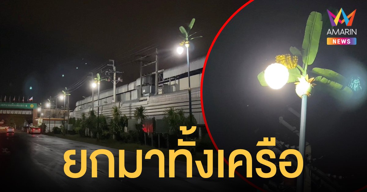 โผล่อีก เสาไฟฟ้าต้นกล้วย จ.นนทบุรี ราคาต้นละ 75,000 บาท