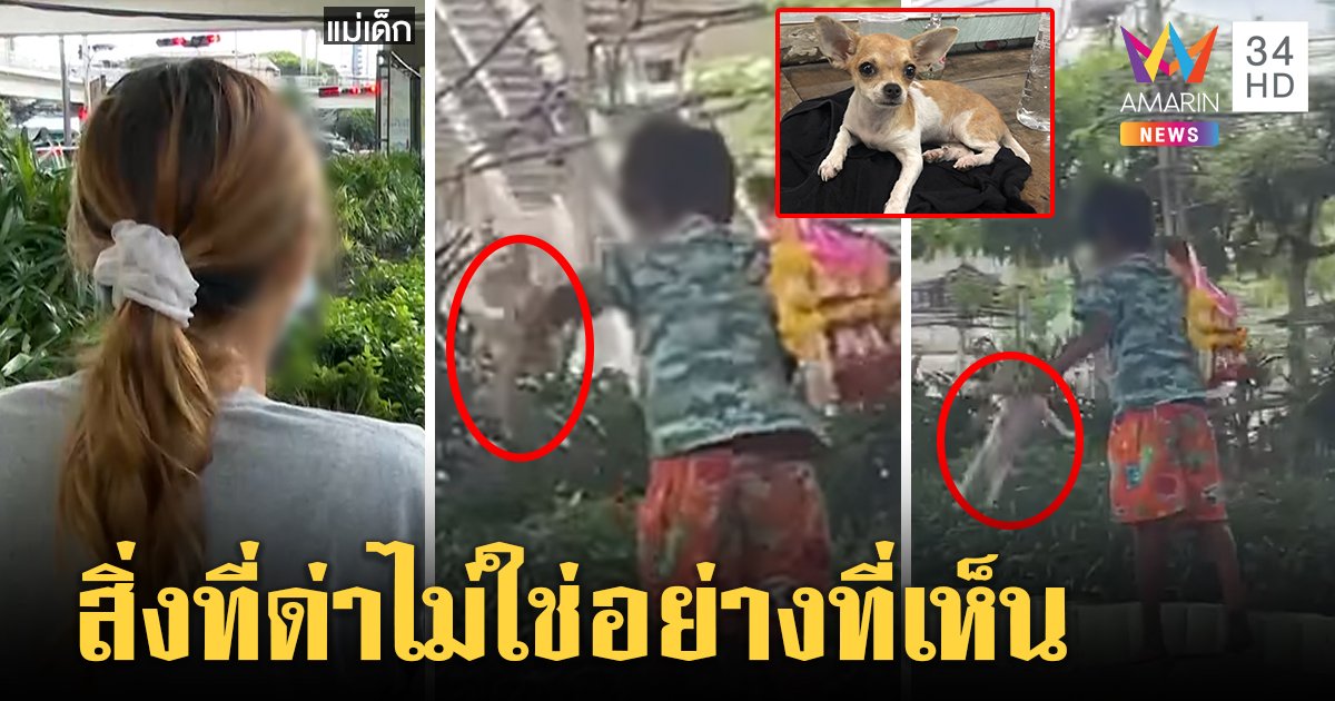 เจอตัวแล้ว! เด็กหิ้วคอหมาเหวี่ยง แม่ยันช่วยชีวิต "บูม เทยกะทะ" อาสารับเลี้ยง (คลิป)