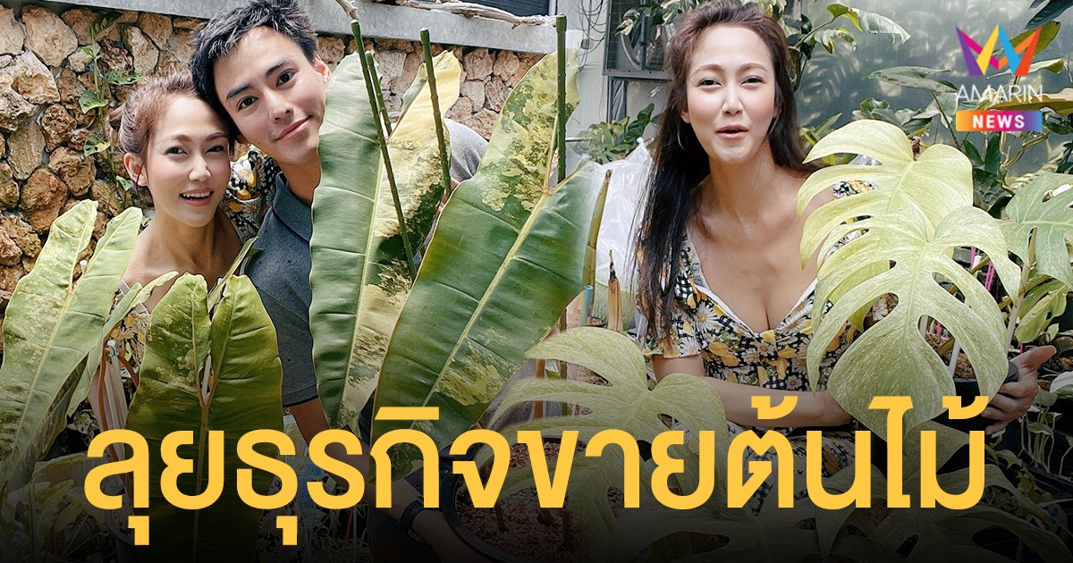 ไฮโซน้ำหวาน ชวน  นาวิน ต้าร์  ลุยธุรกิจขายต้นไม้แถวรังสิตคลอง6