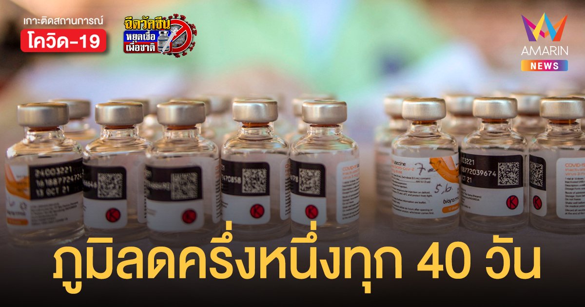 คณะแพทย์ธรรมศาสตร์ เปิดผลวิจัย ซิโนแวค 2 เข็ม ภูมิลดลงครึ่งหนึ่งทุก 40 วัน