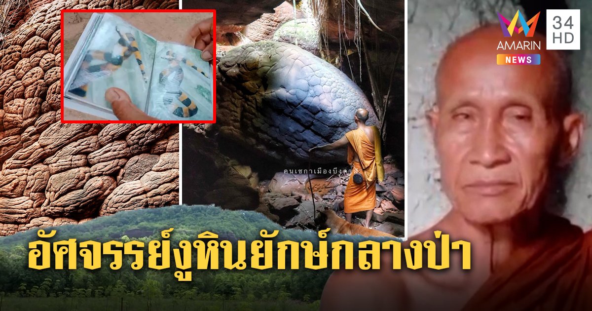 ตะลึงถ้ำนาคา2 หัวงูยักษ์กลางป่า พระธุดงค์ชี้อัศจรรย์เย็นสงบ งูนานาชนิดมาเยือน (คลิป)
