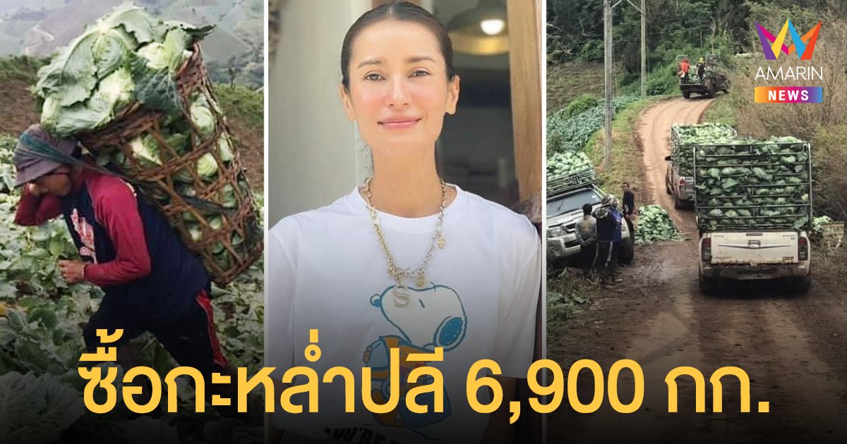 แอน ทองประสม ซื้อกะหล่ำปลี 6,900 กก. ช่วยชาวบ้านบนดอย