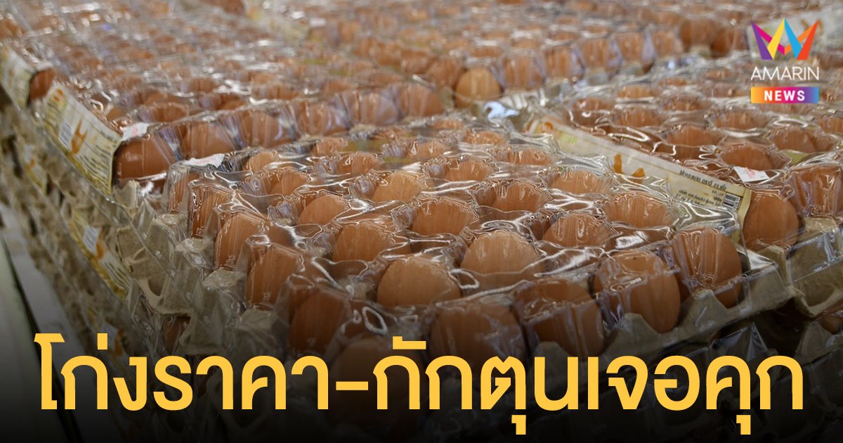 ไข่ไก่เบอร์ 3 ขายไม่เกิน 3.70 บาท/ฟอง เตือนโก่งราคา-กักตุน มีโทษทั้งจำทั้งปรับ