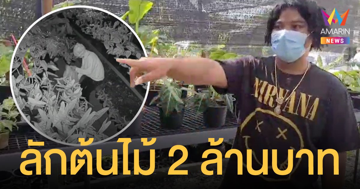 คนร้ายอาศัยจังหวะช่วงเคอร์ฟิว ย่องขโมยพันธุ์ไม้ชื่อดัง มูลค่ากว่า 2 ล้านบาท