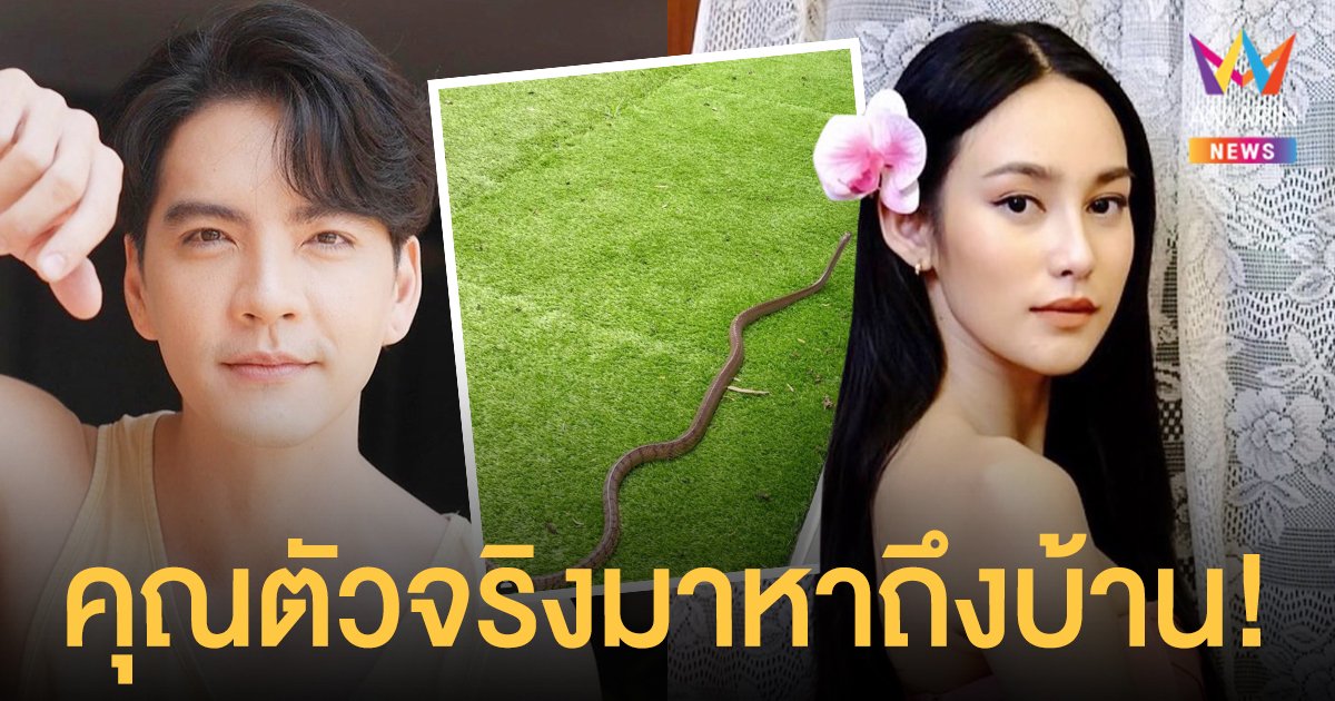 “คุณตัวจริงมาหาถึงบ้าน”  นิว วงศกร ถึงกับตกใจ! งูตัวใหญ่เข้าบ้าน ด้าน นาว ทิสานาฏ แซวพี่นิวทำไรผิดมา?