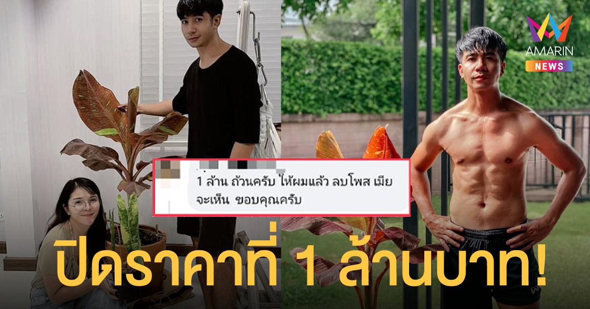 ก้อง ห้วยไร่   เปิดประมูลต้นกล้วยด่างแดงอินโด  ปิดราคาสูง ที่ 1 ล้านบาท!