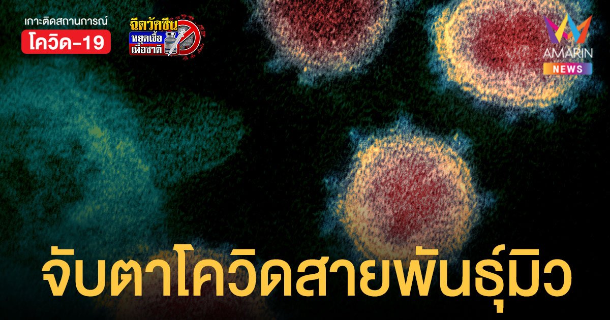 อนามัยโลกจับตา โควิดสายพันธุ์ใหม่ มิว เสี่ยงหลบภูมิคุ้มกันได้ พบแล้วใน 39 ประเทศ