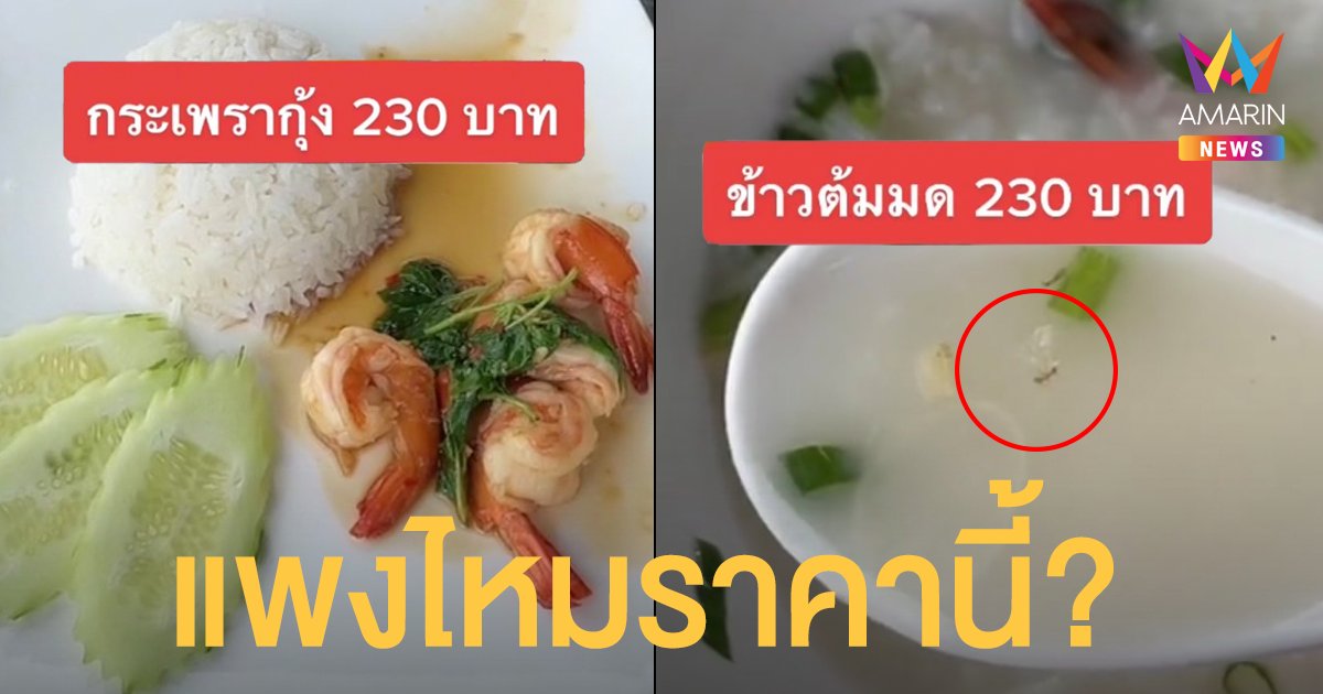 สาวรีวิว ข้าวกะเพรากุ้ง 230 บาท มีกุ้ง 4 ตัว ข้าวต้มหมูแถมมด ผู้ว่าฯ สั่งสอบรีสอร์ทดัง เขาค้อ