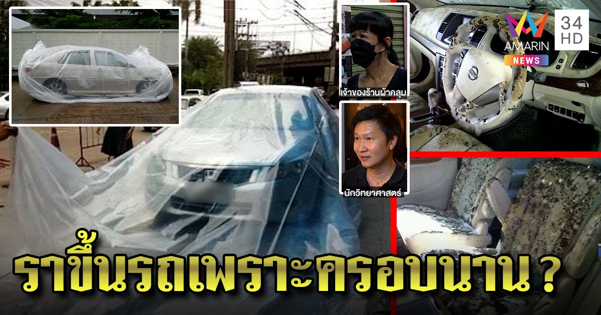 ร้านขายถุงคลุมรถโต้น้ำท่วมไม่เกิดรา แนะอย่าครอบนาน อ.เจษฎาโชว์ภาพราอื้อ (คลิป)
