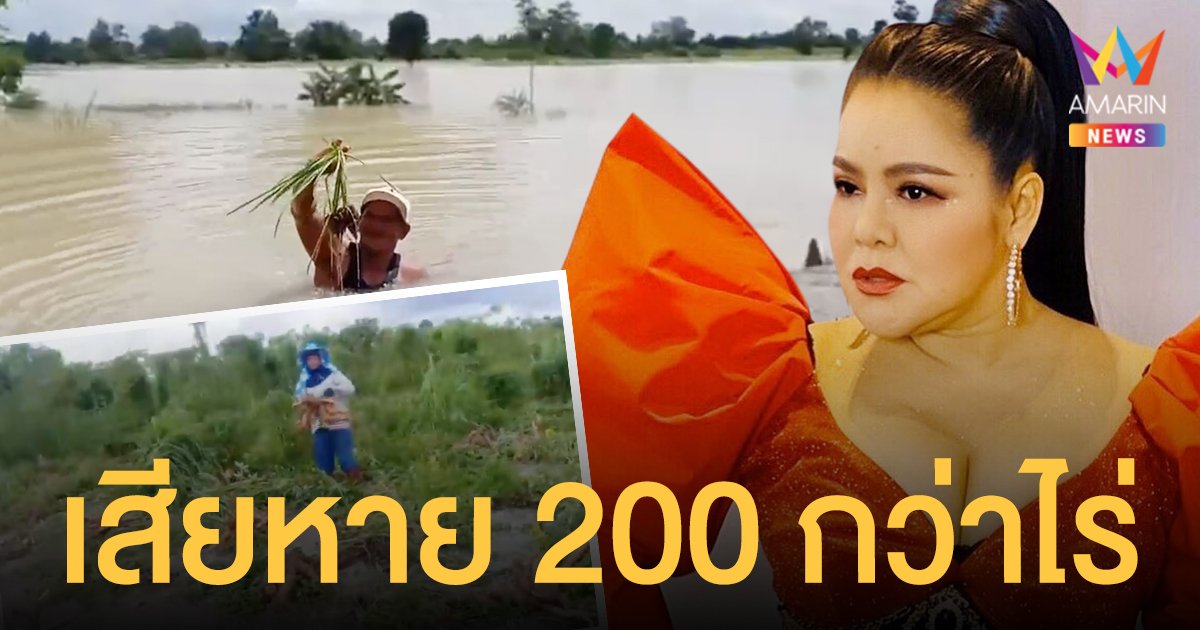 ฮาย อาภาพร เผยคลิป นาข้าว-ไร่มันสำปะหลัง จมใต้น้ำ เสียหาย 200 กว่าไร่