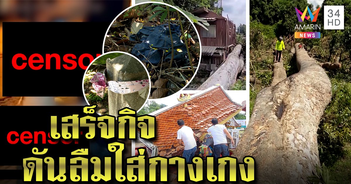 ล่า 2 ผัวเมียเล่นเซ็กซ์ข้างถนน สื่ออึ้งเจอกางเกงสยิวข้างต้นยาง ผู้คนผวาอาเพศ (คลิป)