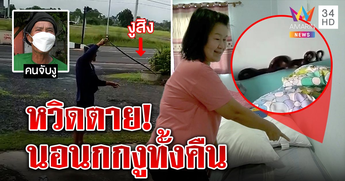 5 ชีวิตผงะ! นอนกกงูทั้งคืน รอดเพราะหมอน เพื่อนจับควงทำให้มึนก่อนทิ้งใกล้บ้าน (คลิป)