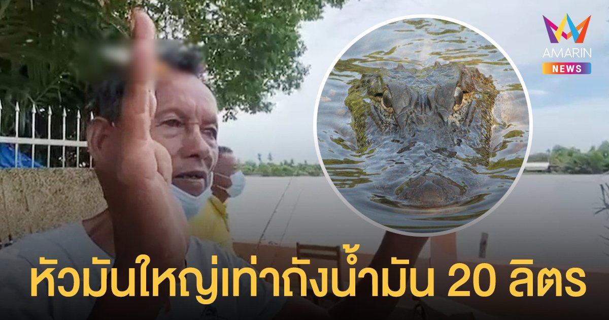 เตือน! อยู่ให้ห่างน้ำ จระเข้ ยาว 4 เมตร หลุดลงบางปะกง