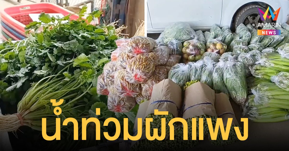 น้ำท่วมเพชรบูรณ์ ทำผักสดราคาพุ่ง! ชาวบ้านปาดเหงื่อซื้อ ขึ้นฉ่าย กิโลกรัมละ 110 บาท