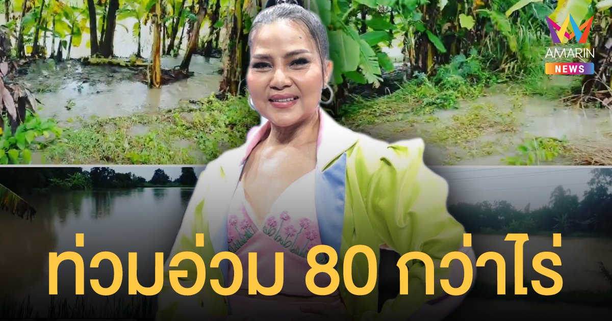 เตี้ยนหมู่ทำเจ็บหนัก! สุนารี ราชสีมา  เผยคลิปน้ำท่วมอ่วม 80 กว่าไร่ จบสิ้นข้าวกำลังอุ้มท้องอ่อน