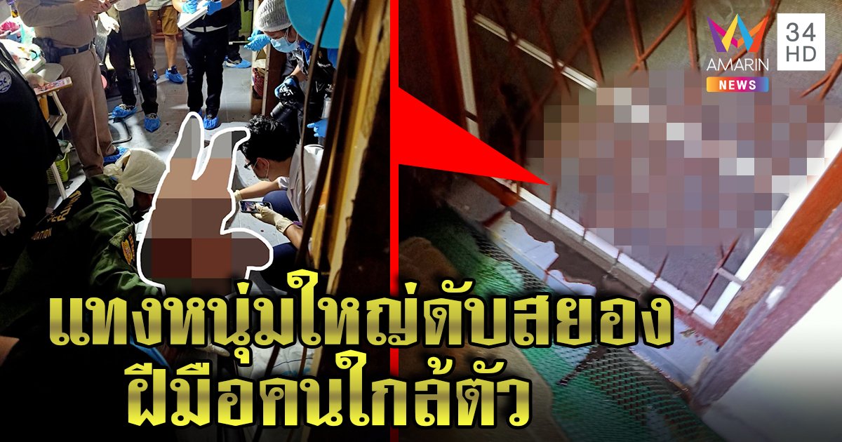 หนุ่มใหญ่ถูกแทงคาบ้าน เพื่อนบ้านเผยมีปากเสียงชายปริศนาก่อนดับ พุ่งเป้าคนใกล้ตัว (คลิป)