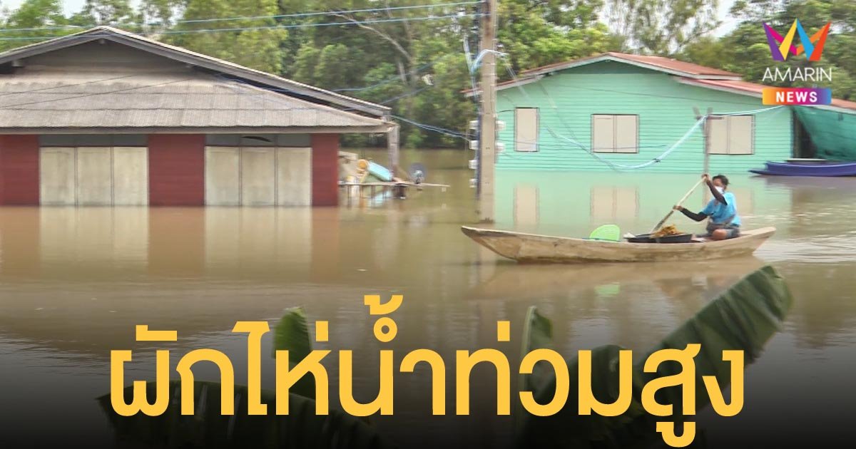 ผักไห่ อยุธยา น้ำยังสูงถึงขอบหน้าต่าง ชาวบ้านต้องลอยเรือหลบร้อนตามต้นไม้