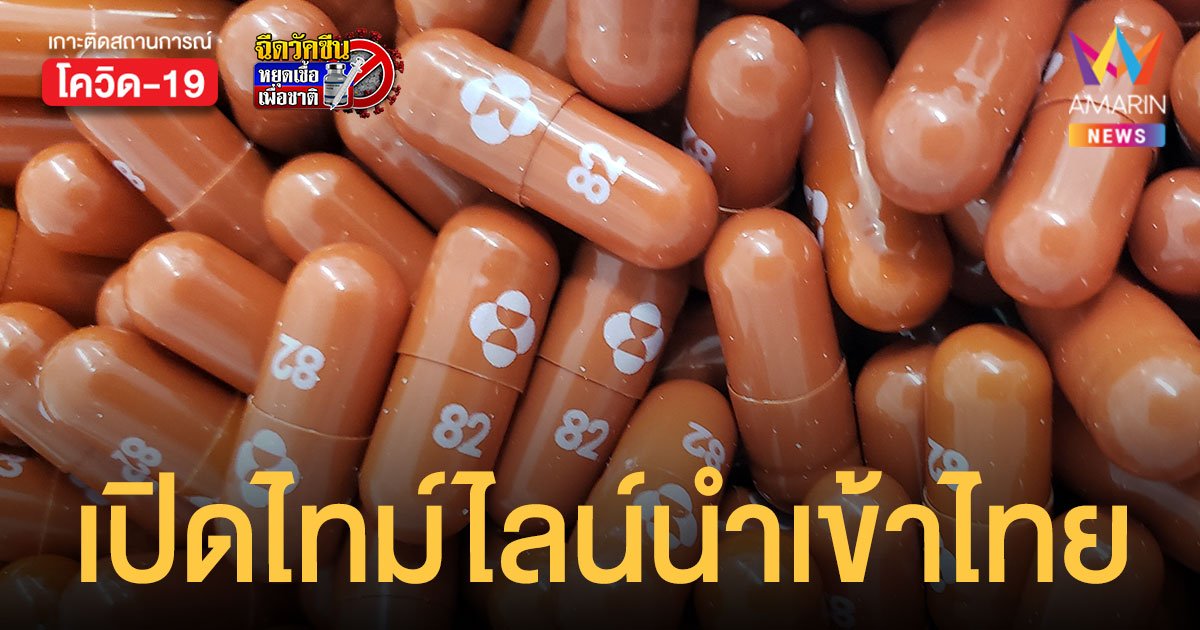 สธ.เผยผลศึกษา โมลนูพิราเวียร์ ยับยั้งโควิดได้ทุกสายพันธุ์ พร้อมเปิดไทม์ไลน์เข้าไทย