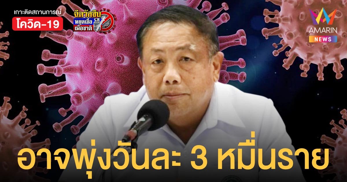 สธ.ชี้ โควิดไทย อาจพุ่งวันละ 3 หมื่นราย หากปรับมาตรการแล้วไม่ทำอะไรเลย