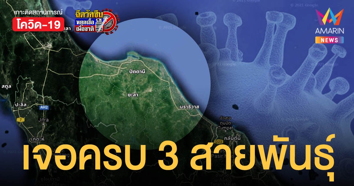 ผวา! โควิดภาคใต้ เจอครบ 3 สายพันธุ์ อัลฟา - เดลต้า - เบต้า หวั่นวิกฤตเตียงไม่พอ