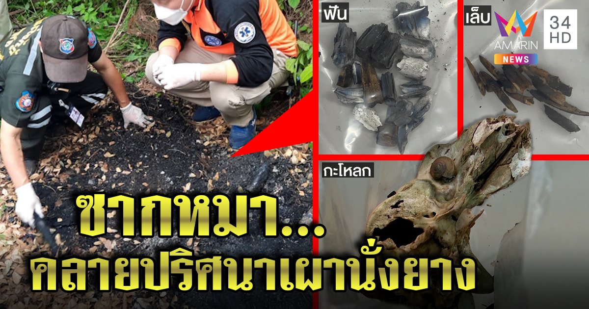 คดีพลิก! ศพเผานั่งยางที่แท้เป็นซากหมา พิสูจน์ชัดขนหมาไม่ใช่ผมคน (คลิป)