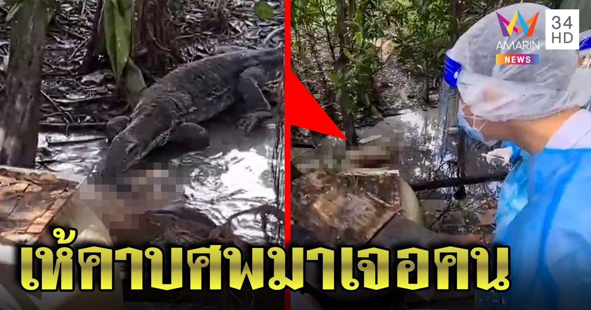 ได้กลิ่นเน่า เดินหาเจอตัวเหี้ยรุมแทะศพในคลอง แทบช็อก! พบเป็นลุงข้างบ้าน คาดหน้ามืดจมแอ่งน้ำดับ (คลิป)