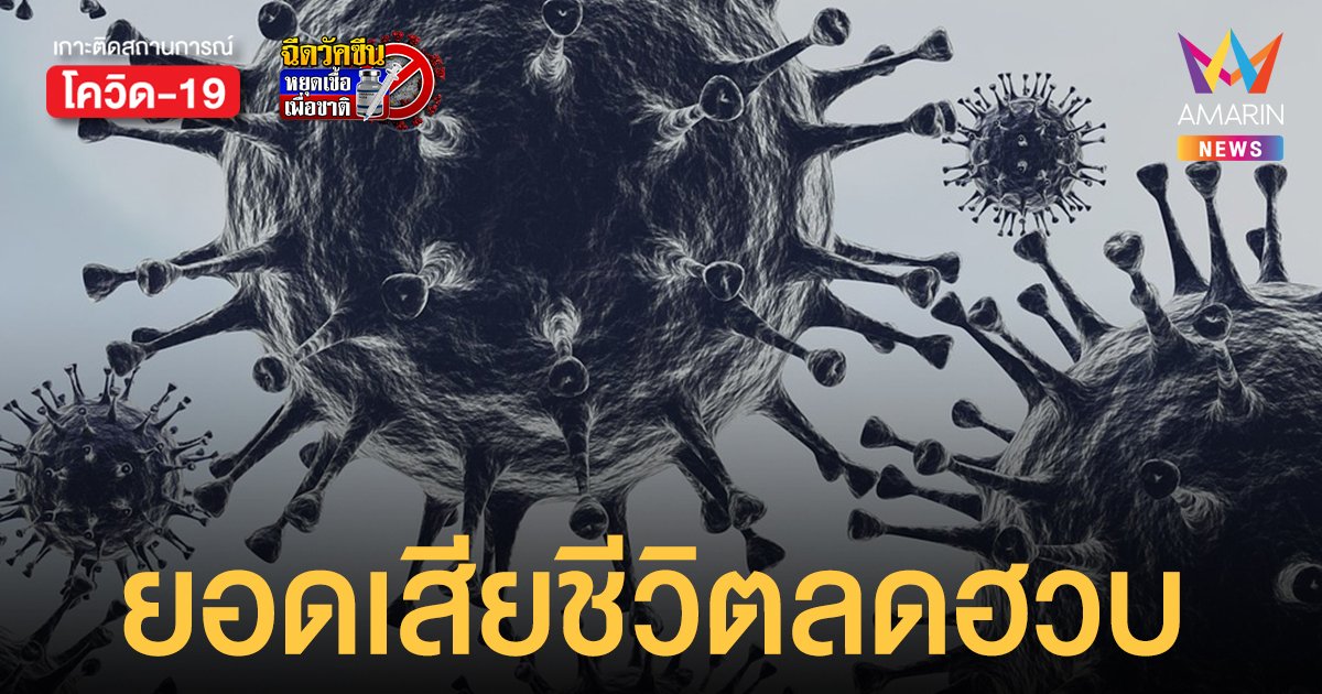 โควิดวันนี้ 8 พ.ย. 64 ป่วยใหม่ 7,592 ราย เสียชีวิต 39 ราย