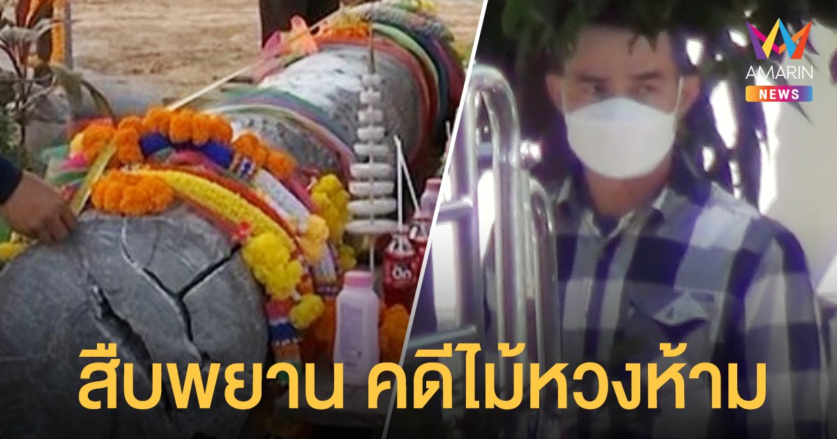 ลุงพล ขึ้นศาลวันที่ 2 สืบพยานคดีครอบครองไม้ เจ้าแม่โสรภี