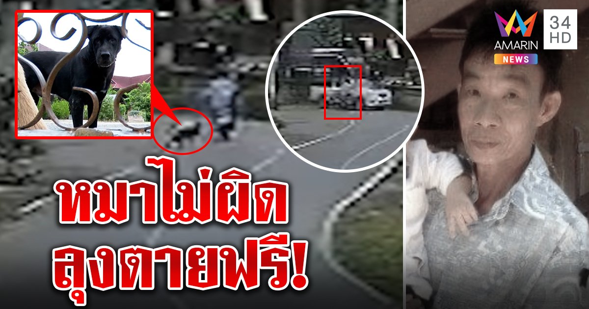 ช็อก! ลุงหักหลบหมาถูกรถชนตาย เจ้าของลั่นไม่ผิดไม่จ่าย ทนายแนะฟ้องชดใช้ (คลิป)