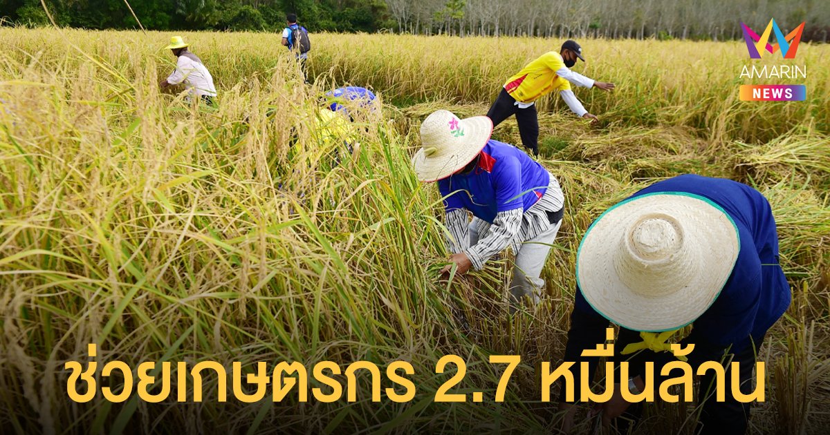 ครม.ไฟเขียว 2.7 หมื่นล้าน ประกันรายได้เกษตรกร 3 โครงการ ปี 64/65