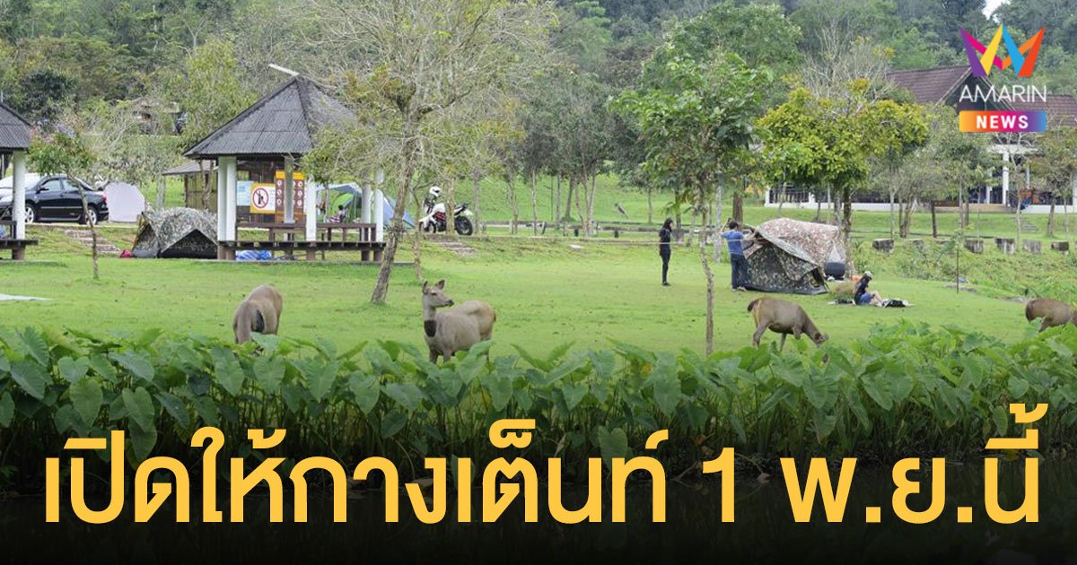 อุทยานแห่งชาติเขาใหญ่ เตรียมเปิด ลานกางเต็นท์ลำตะคอง 1 พ.ย.นี้
