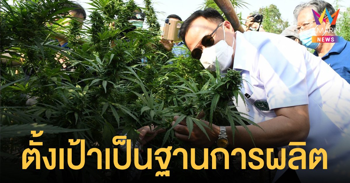 อนุทิน ตั้งเป้าไทยเป็นฐานผลิตเวชภัณฑ์จาก กัญชา ทางการแพทย์ระดับโลก