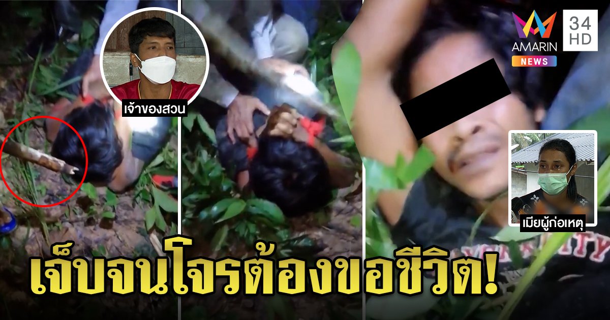 ดัดหลังโจรแสบฉกปาล์ม 2 ตัน จับมัดรุมตี เมียลูกดกร่ำไห้ยากจนต้องขโมย 4 รอบ (คลิป)