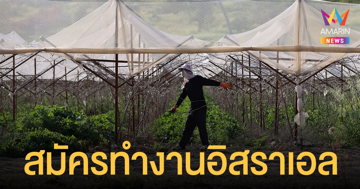 รับสมัคร แรงงานเกษตร 6,500 คนไป ทำงานอิสราเอล เงินเดือน 5.5 หมื่น เช็กคุณสมบัติเลย